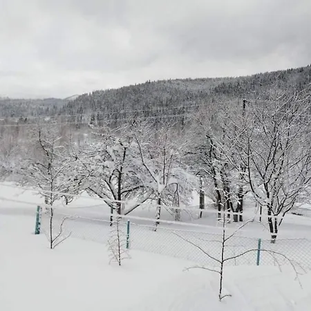 Holiday home хатина у христини Mykulychyn