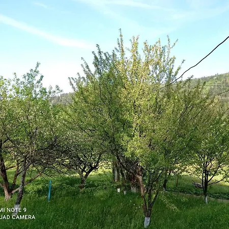 Casa vacanze хатина у христини Mykulychyn